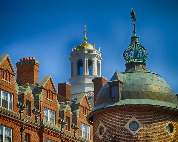 Is Harvard Test Optional? Testing Policies for Top Colleges