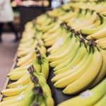 Is the Costco Essay Still Good?