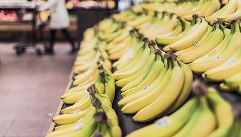 Is the Costco Essay Still Good?